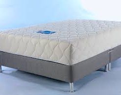 6" Memory Foam Block Bounce Back