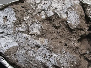 Worlds oldest known mattress